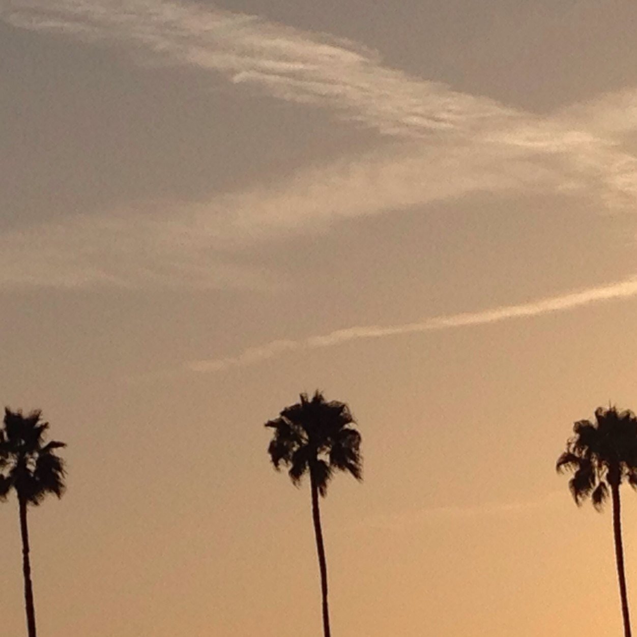 ohlaur3n's profile picture. 