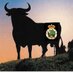 Green&White_Bull (@greenwhite_bull) Twitter profile photo Green&White_Bull (@greenwhite_bull) Twitter profile photo
