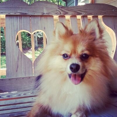 bcoleman228's profile picture. 