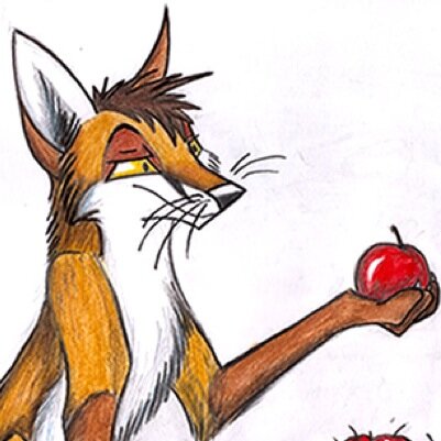 Hey I'm Duncanty I'm a awesome weird and funny fox Me and my friend Sierra are in the Canine Thunder Salvation with Volton & give me a brofist dude. #Single
