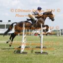 Belle - @BelleTurner4 - Twitter