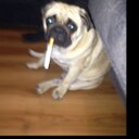 Duncan Abraham - @DuncanAbraham - Twitter