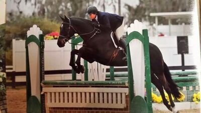 Select Warmblood Breeders
contact for information