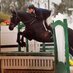 Muny Sunk Stables (@mssbreeders) Twitter profile photo Muny Sunk Stables (@mssbreeders) Twitter profile photo