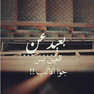 تحت الآتربه آروحاً غاليه ع قلوبناً فارقتنا ،، ياارب آرحمهم بحجم ماآشتقنا لهم ♥♥”! الخااص لايروق لي ..