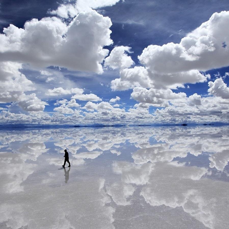 FnixFlix's profile picture. Vittima d'abuso sessuale e altro in cura psichiatrica a vita a cui si nega giustizia. A volte delirante.