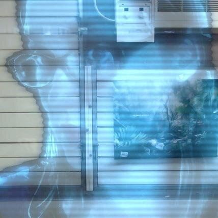 jeelago's profile picture. every day is a special occasion