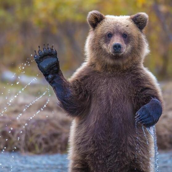 ComoMeDoy's profile picture. 