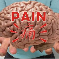 Hsieh-Hsing Wu (@taiwanozphysio) 's Twitter Profile Photo