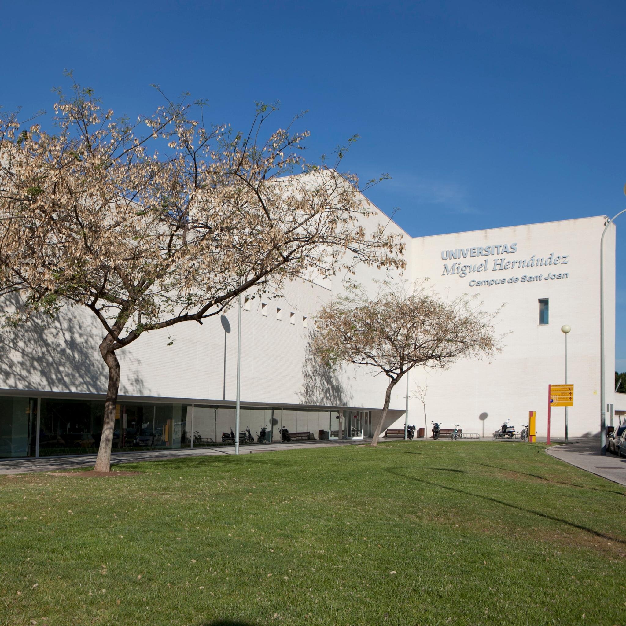 InfUmhSantJoan's profile picture. ¿Sueles dar por culo por el campus de sant joan? ¿tienes algo que decir?¿Intentas ligar? Haznos conocedores de ello por MD y lo rulamos. 99,9%Anónimo