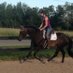 Candace Leinwand (@1orangehorse) Twitter profile photo