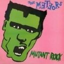 houseofneil's profile picture. Punk rock, skateboarding, pro wrestling, Leeds United football, Guinness. Repeat