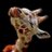 Thorson_learn5's profile image