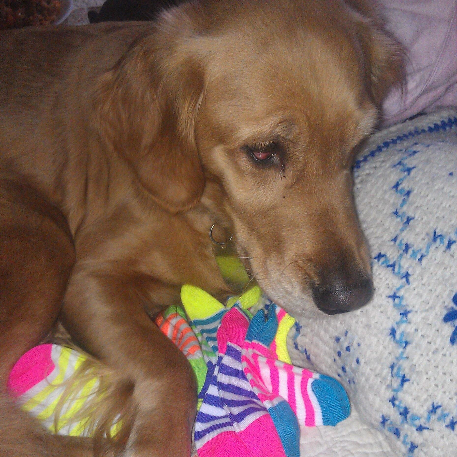 jmtmdjc's profile picture. Independent Avon Rep., Teacher, Mom and Grandma