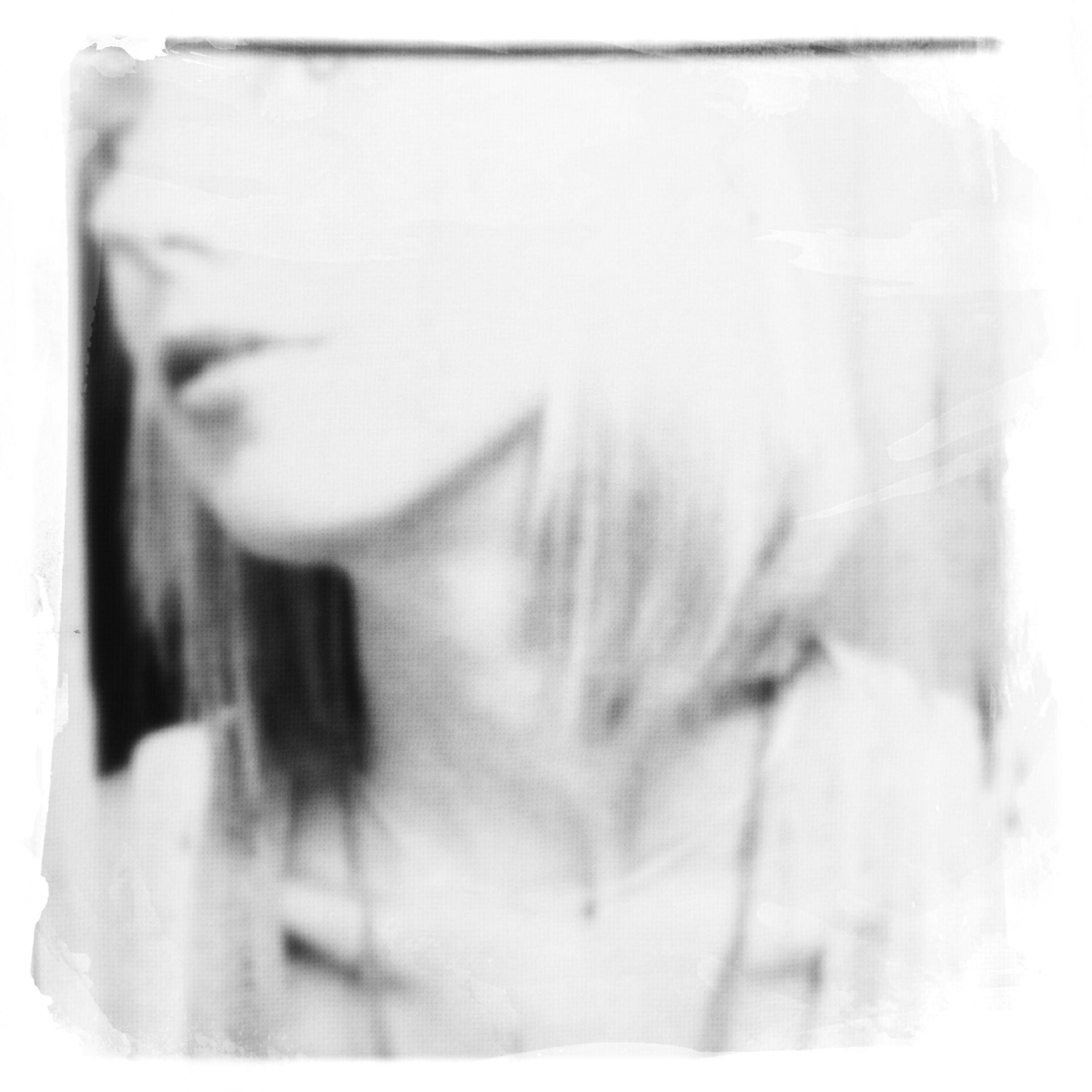 evelynmarble's profile picture. I don't tweet, I ROAR muthaf***az!