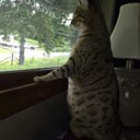 steven dennison - @Steven_Dennison - Twitter