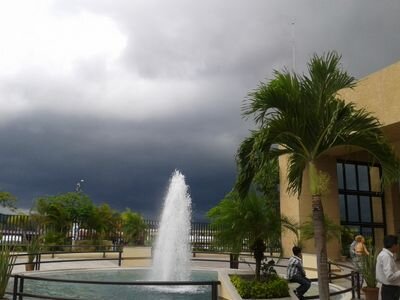 DeniapinedaDra's profile picture. 