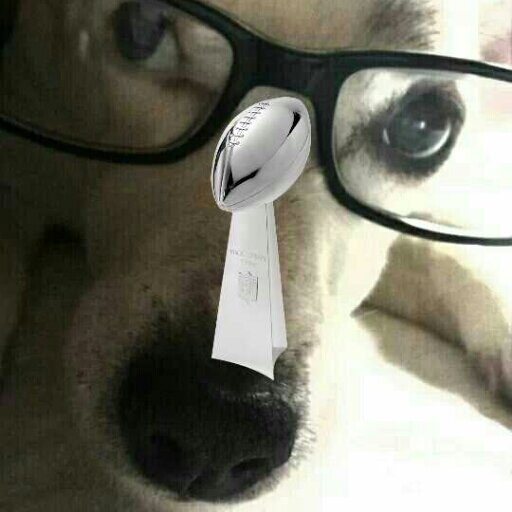 43-8 woof #champs woof #goHAWKS #BEASTMODE grrrrrrrr #12sfollow12s! I hatez catz & im funy doge