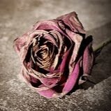 Comunicadora, maníaca de la ortografía. Amo mi independencia y a veces la soledad. Runner y shopaholic en potencia.