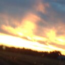 Doris Travis - @doris_travis - Twitter