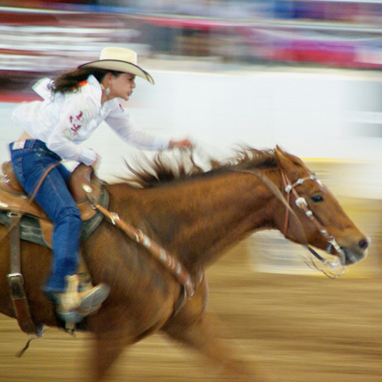 Somewhere up north just tryin' to make a name for herself. NFR dreams