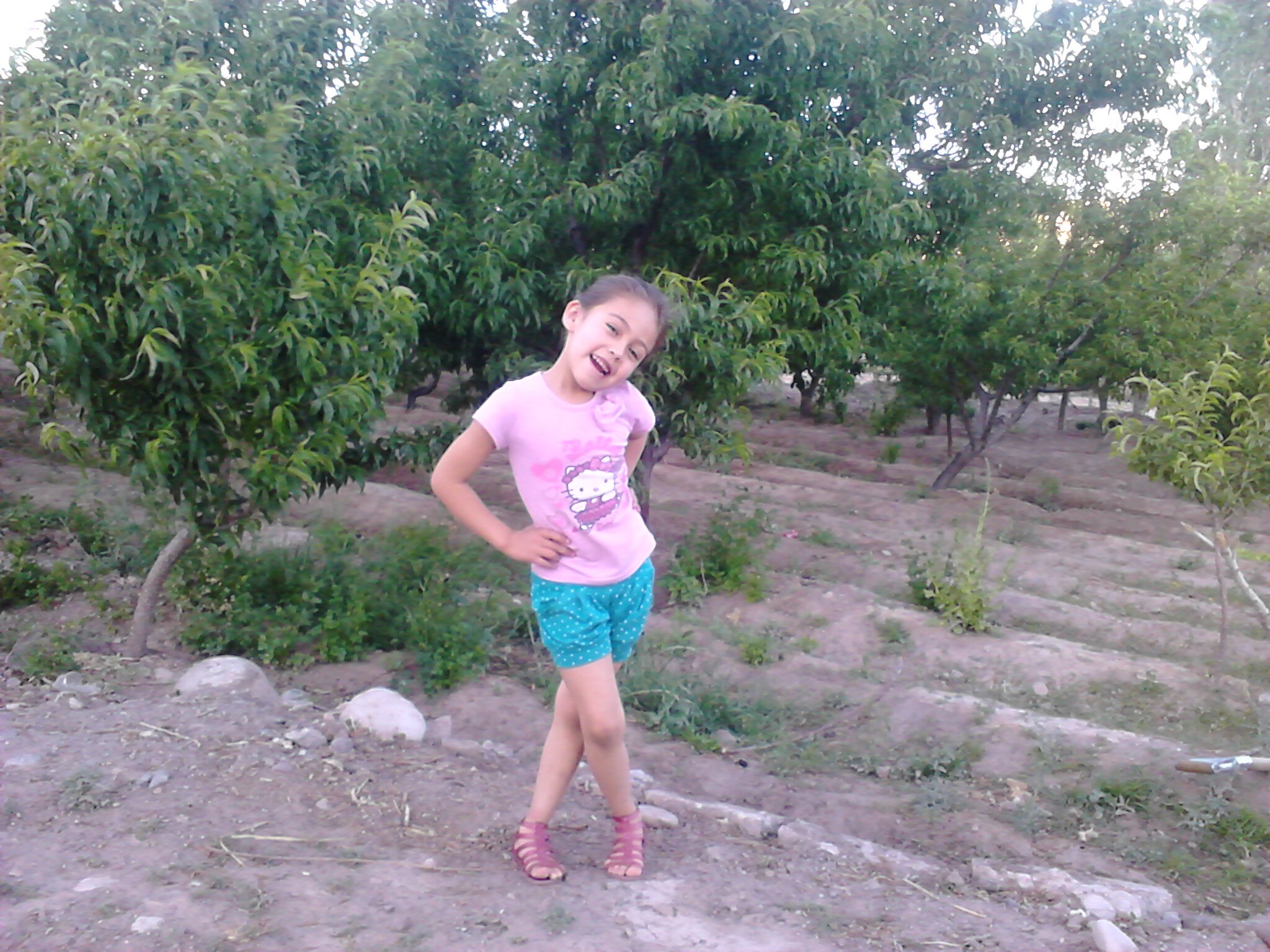 408_hidalgo's profile picture. 