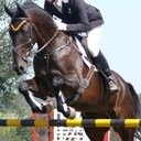 There's a voice in my head that drives my heel 🐴💾 ISE