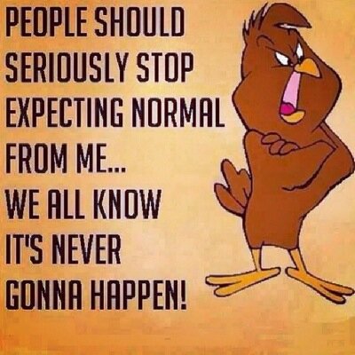 MathewBurbridge's profile picture. 