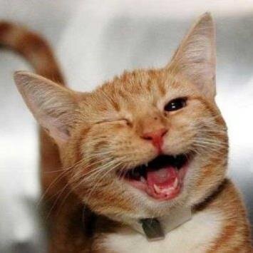 casic56's profile picture. 