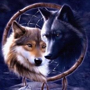 BVBarmyTHAlien's profile picture. Hey I'm Alice :) I love Falling in Reverse, Black Veil Brides, I Am Ghost, etc. I love wolves, LPs, and Nova Scotia. I am into goth culture. ♥