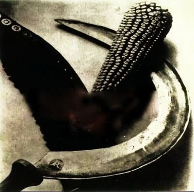 Van_D_Bull's profile picture. 