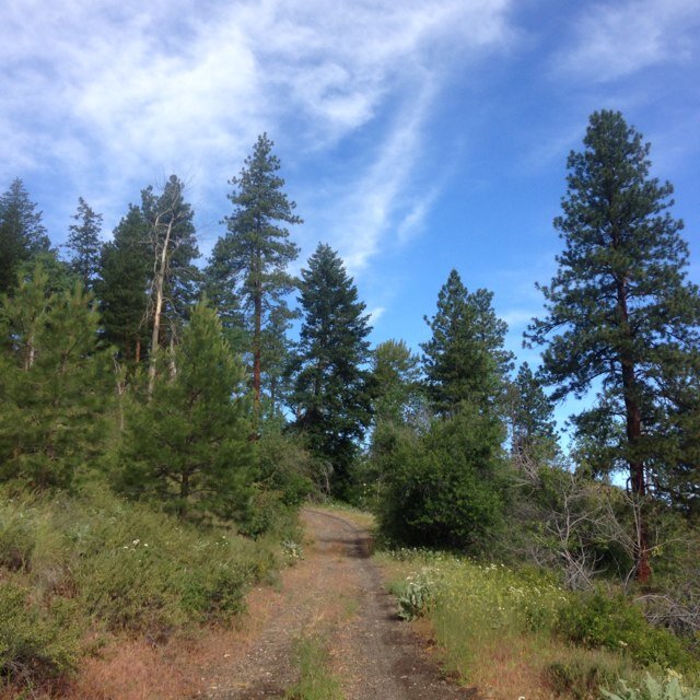 Methow Valley Social Media