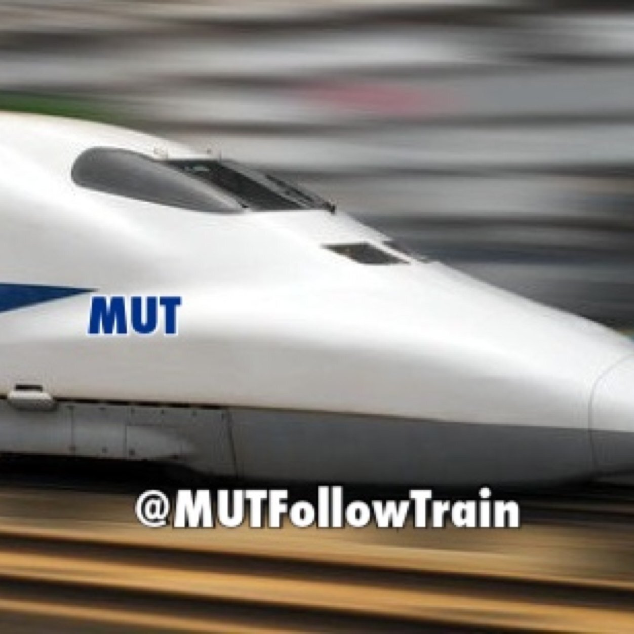 MUTFollowTrain's profile picture. Everyone follow me and Retweet my tweets and gain active MUT followers instantly! Following MUT users and spread the word about #MUTFollowTrain! #MUTCommunity
