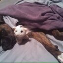 Melissa Regis - @damelly03 - Twitter