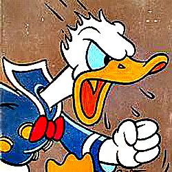 Disney15Eli's profile picture. *Insert dry ass humor about my life here*