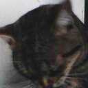 John Erazo Erazo - @erazorevelo - Twitter