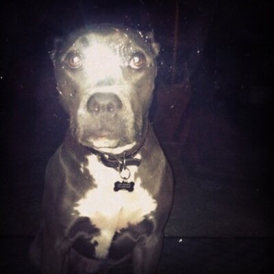 CornbreadQueen's profile picture. 