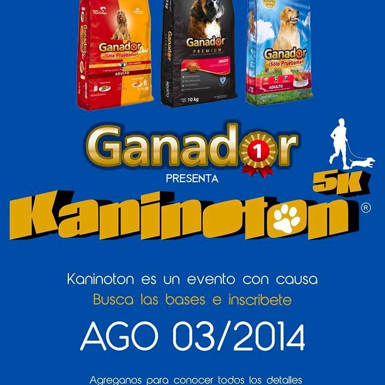 #Kaninotonrun Evento con Causa. Apoyando a nuestros amigos peludos.