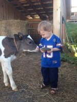 A 3 generation, 500 cow dairy farm 8 miles south of Cooperstown, NY.
