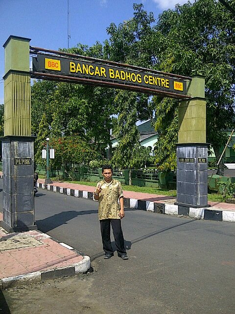 Pin 231ed821