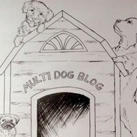 Multi Dog Blog (@multidogblog) 's Twitter Profile
