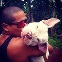 Surfero