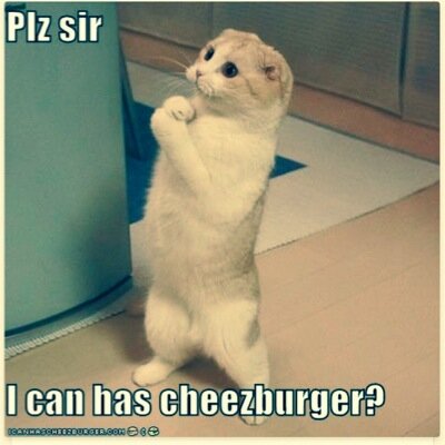 Xlration's profile picture. 100