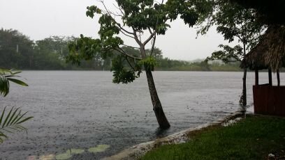 eduapool's profile picture. En algun lugar del #RioCandelaria