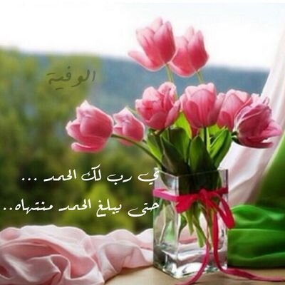 ‏‏‏راجية لعفو ربي وأمنيتي جنة عرض السموات واﻷرض وأن يجمعني خالقي بحبيبي (ميدو)
 ؛ اللهم أجعل حسابي هذا حجة لي لا علي ~
استودعكم الرحمن متابعيني الأعزاء ...