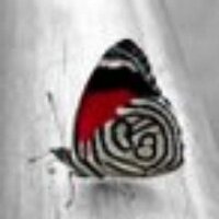 فن فانتزي (@lthahlaatnthi) 's Twitter Profile