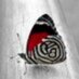 فن فانتزي (@lthahlaatnthi) Twitter profile photo فن فانتزي (@lthahlaatnthi) Twitter profile photo