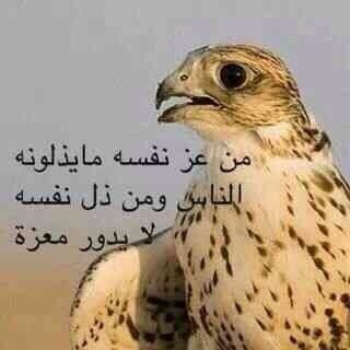 hha11635's profile picture. عراقي وبس