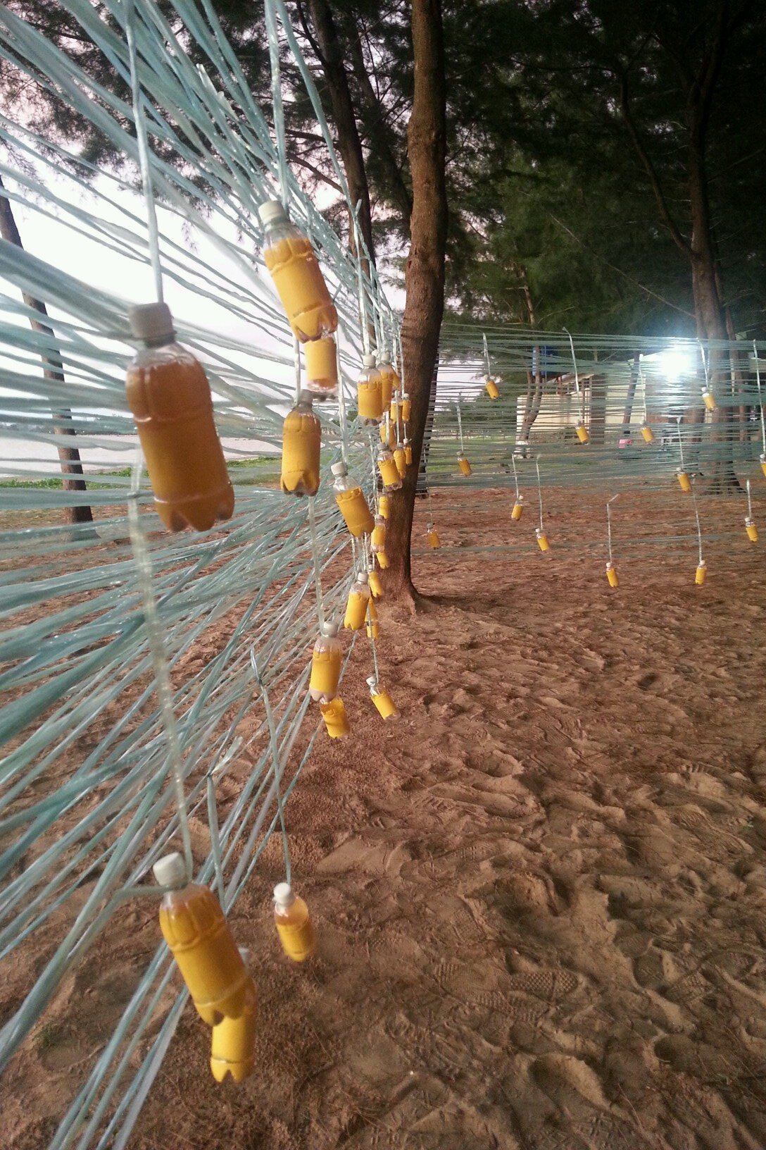 CrackoArtGroup's profile picture. 