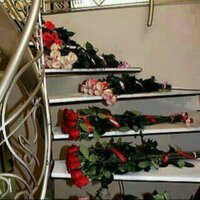 بنت ابوعريش (@djhdgj71) 's Twitter Profile